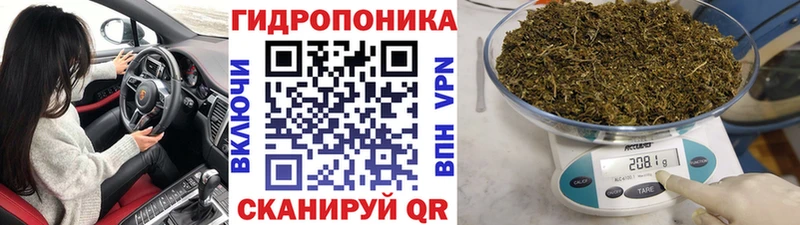 Купить закладку A-PVP Меф ТГК Cocaine ГАШ Чкаловск