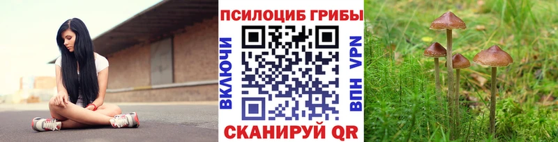 Псилоцибиновые грибы ЛСД  Купить где  Чкаловск 